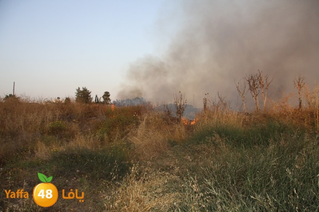 fireina7rashyaffa505 (28).JPG